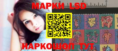 дмт Будённовск